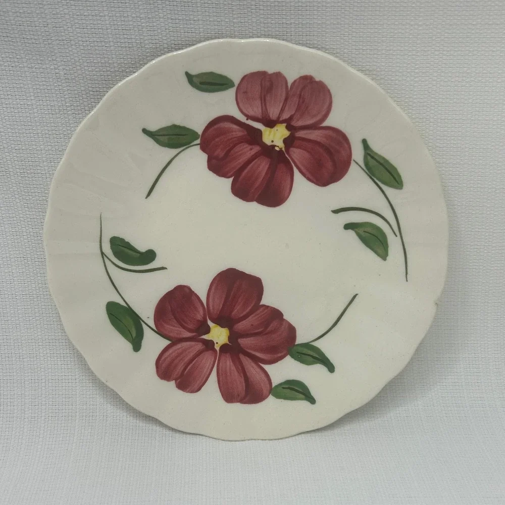 Vintage Blue Ridge Southern Potteries Red Hill Floral 6